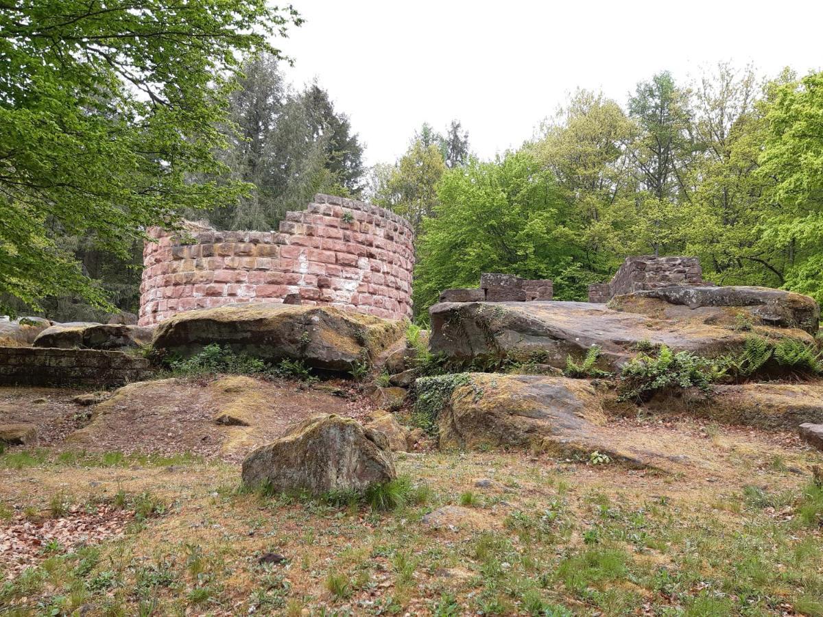 Fewo Jule Thaleischweiler-Froschen Exterior foto